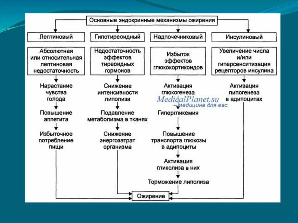 Генез ожирения. Основные эндокринные механизмы ожирения. Механизмы развития ожирения патофизиология. Основные виды ожирения по механизму. Патогенез ожирения эндокринология.