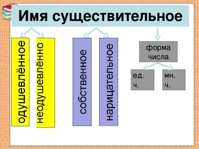 Полная форма существительного. Формы числа существительных. Форма числа существительного. Форма имя существительное. Вид имени существительного.