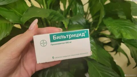 Лечение после описторхоза бильтрицидом