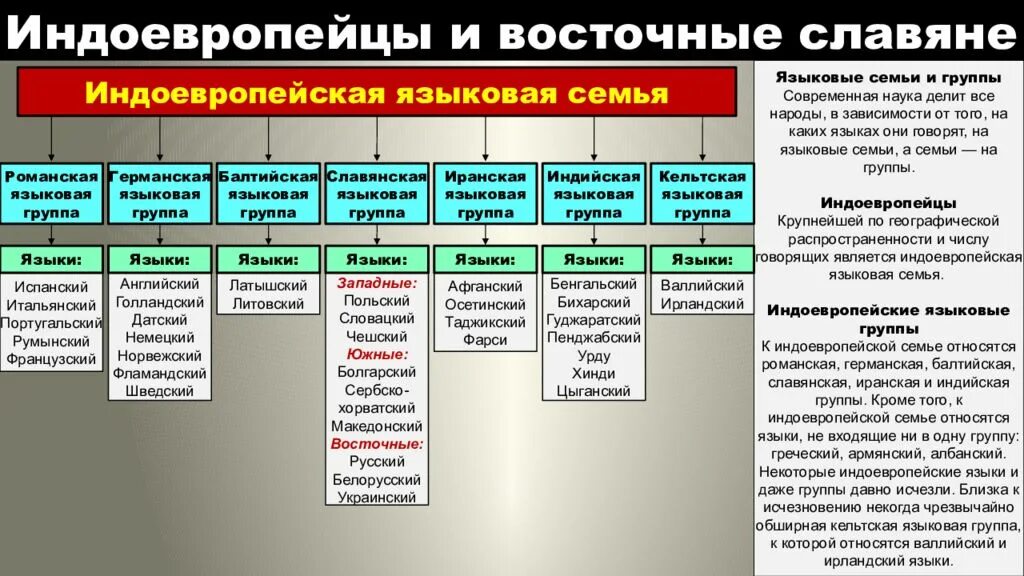 Группы входящие в индоевропейскую семью. Группы индоевропейской семьи. индоевропейская семья группы и языки. языковые группы индоевропейской языковой семьи. индоевропейская языковая семья таблица.