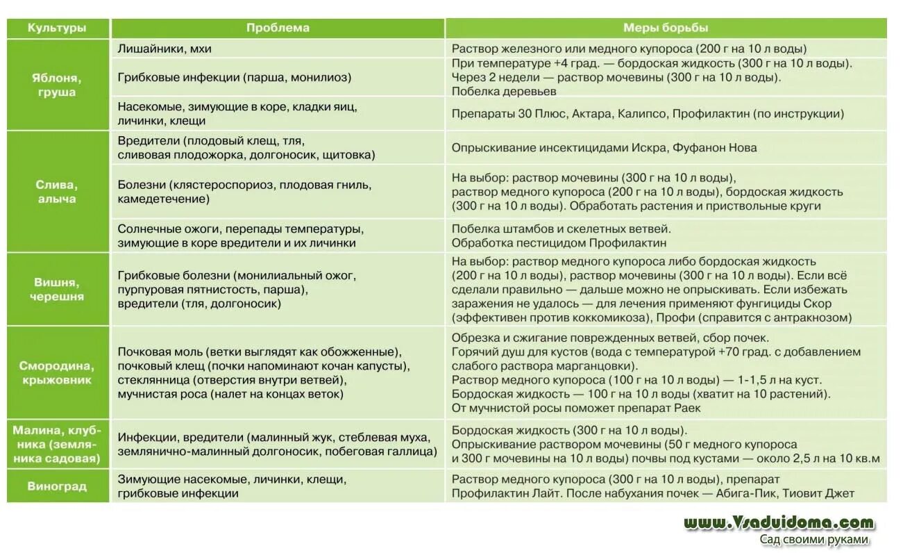 Можно ли опрыскивать деревья бордосской жидкостью