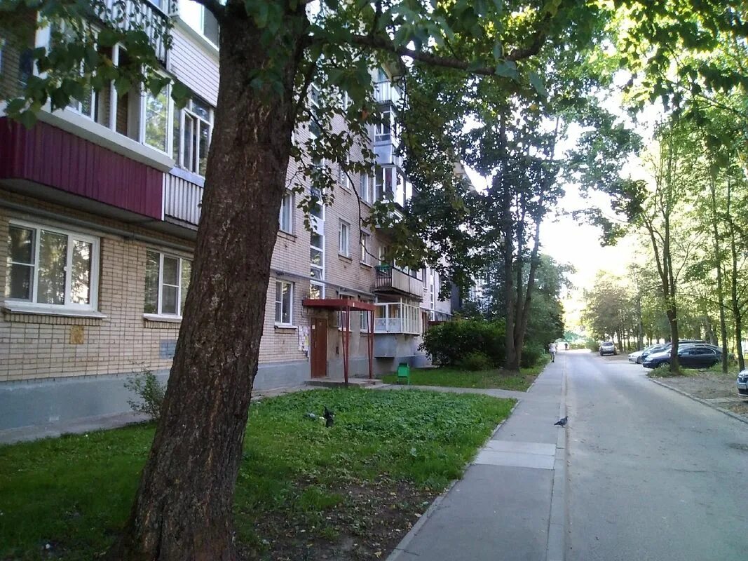 Продукты, магазин продуктов, ул. Фридриха Энгельса, 15, Чебоксары - Яндекс Карты