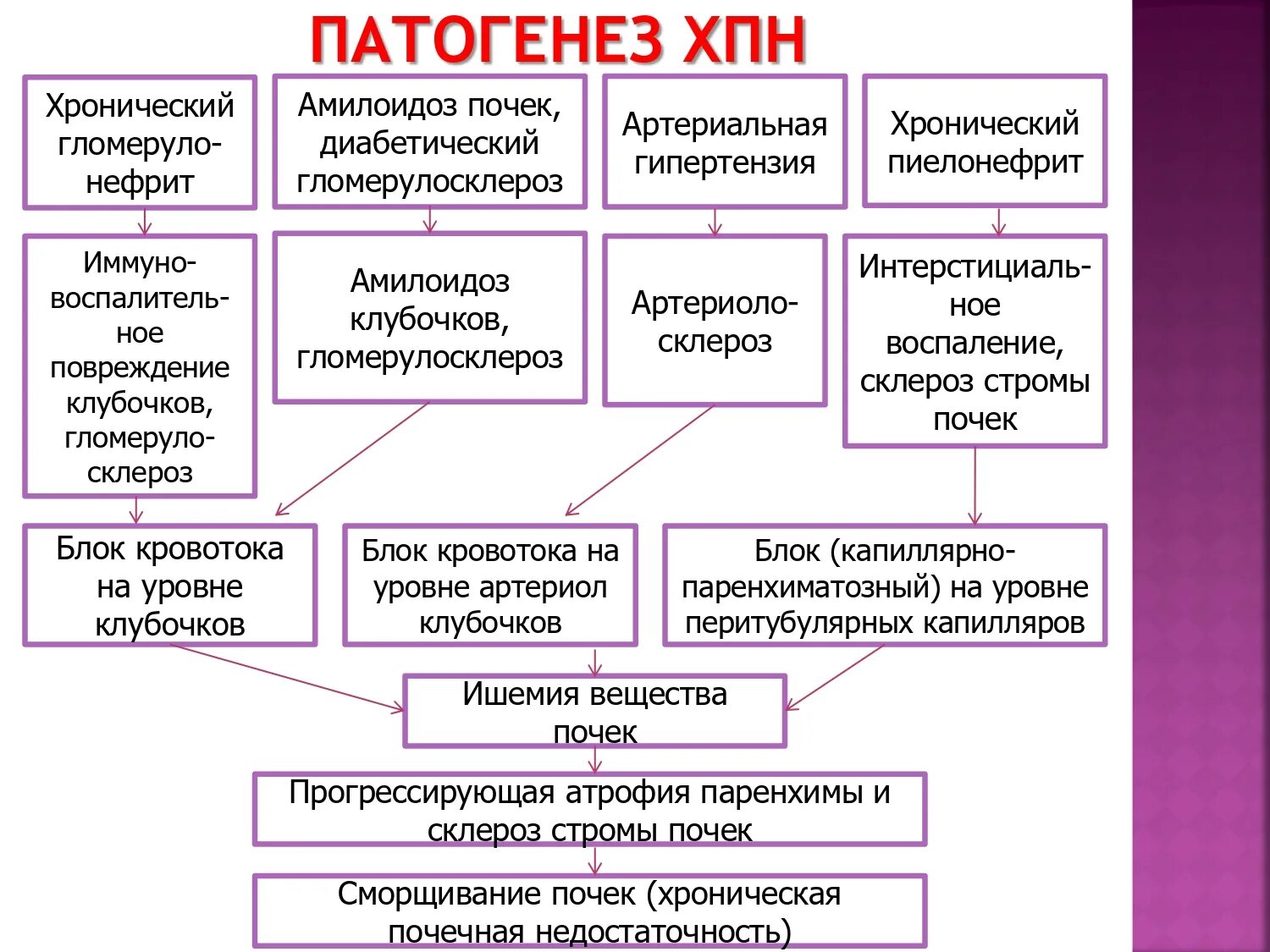 Исходы патогенеза. Хроническая болезнь почек патогенез. Патогенез ХПН патофизиология. Схема патогенеза почечной недостаточности. Патогенез хронической почечной недостаточности схема.