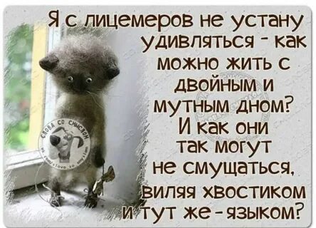 Слово двуличность