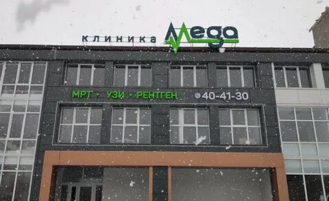 Меги дема