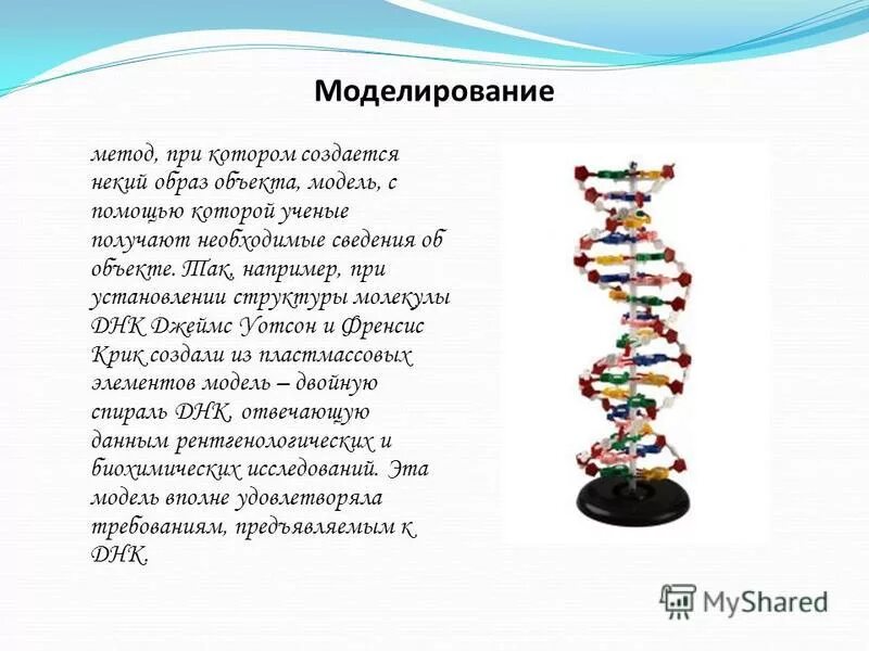 Процесс разрезания молекулы днк с помощью ферментов. Методы исследования ДНК структуры. Метод моделирования ДНК. Моделирование структуры ДНК. Метод изучения структуры ДНК.