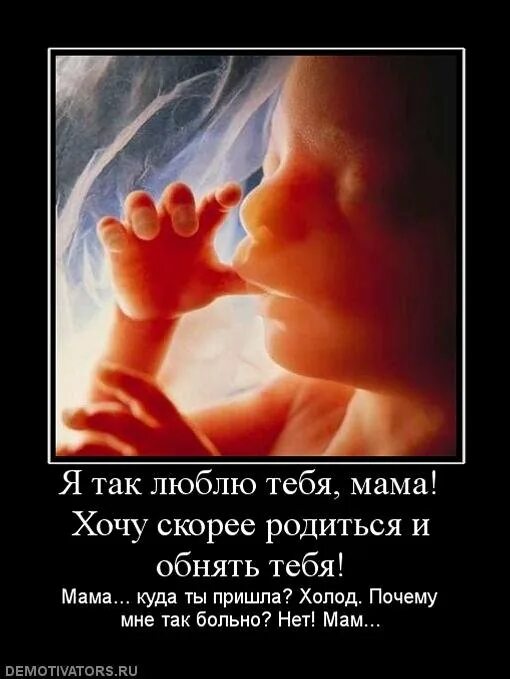 Жене не хочет рожать. Я хочу ребенка. Скоро родится малыш. Демотиваторы против абортов. Хочу малыша.