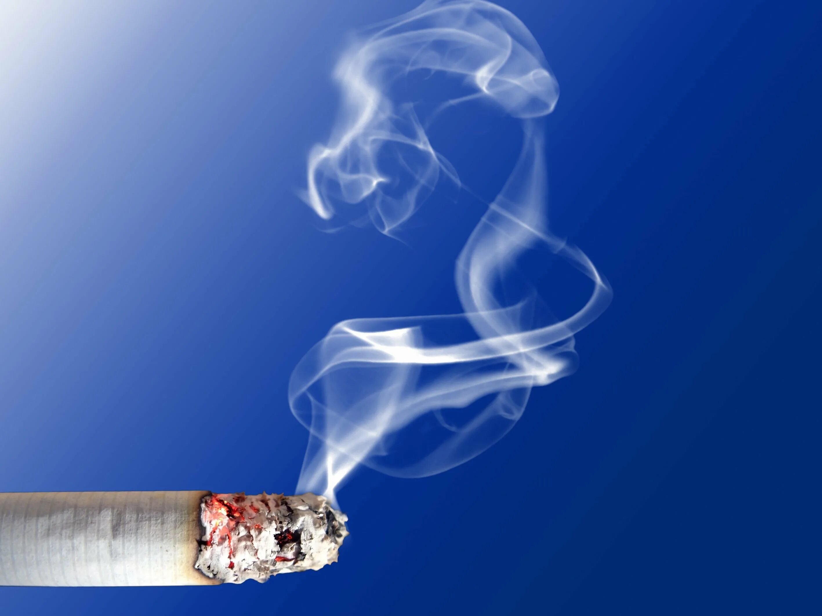 Сигаретный дым. Табак курение. Вредные привычки сигареты. Дымящая сигарета. Дым твоих сигарет
