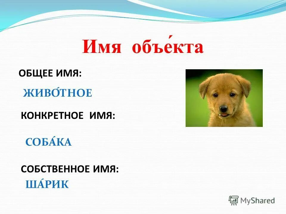 имя объекта общее единичное собственное. объект. единичные и общие имена объектов. общие имена объектов примеры. единичные и общие имена объектов.