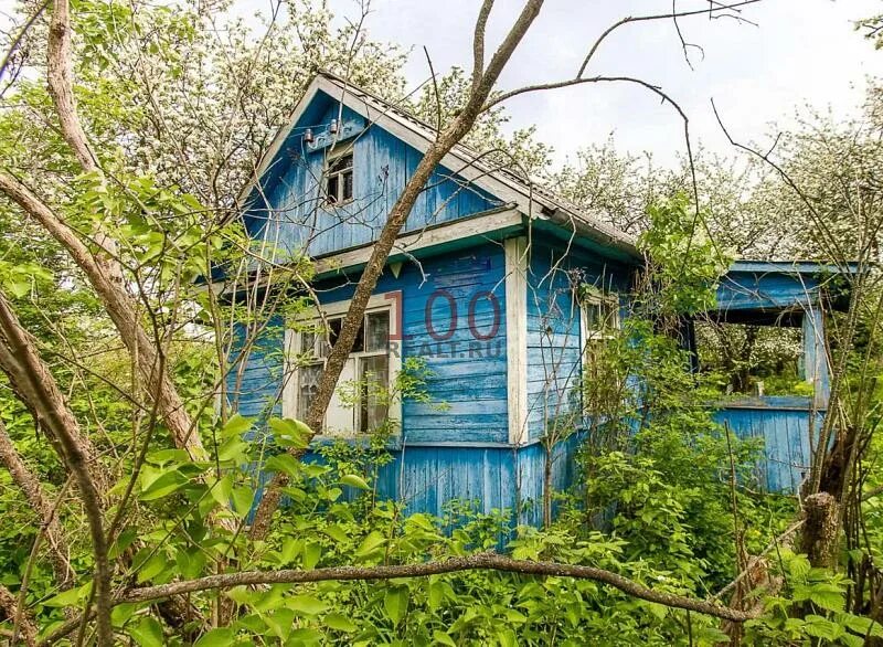 Купить в деревне калугу. Деревня Некрасово Калуга. Дача Некрасово. Калуга дачи. Калуга Садовая 15.