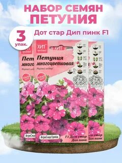 Дот стар петуния