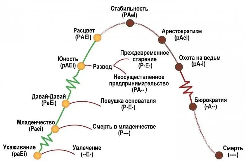 Каскадная модель ЖЦ - Студопедия