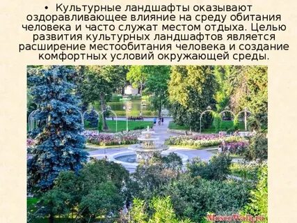 Значение культурного ландшафта