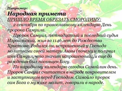 Слова со слова смородина