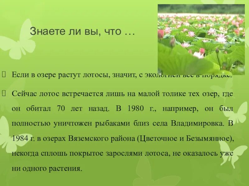 Сообщения детям по окружающему миру. Интересные факты о природе. Интересные факты в мире природы. Необычные факты о природе. Рубрика это интересно про природу.