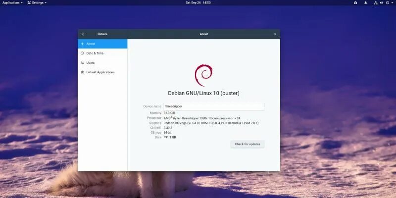 Плавные обновления Debian. Debian Linux 10 Laptop. Debian GNU/Linux 2.6.30 ошибка при загрузке. Debian Linux российское издание в желтой коробке фото. Debian домен