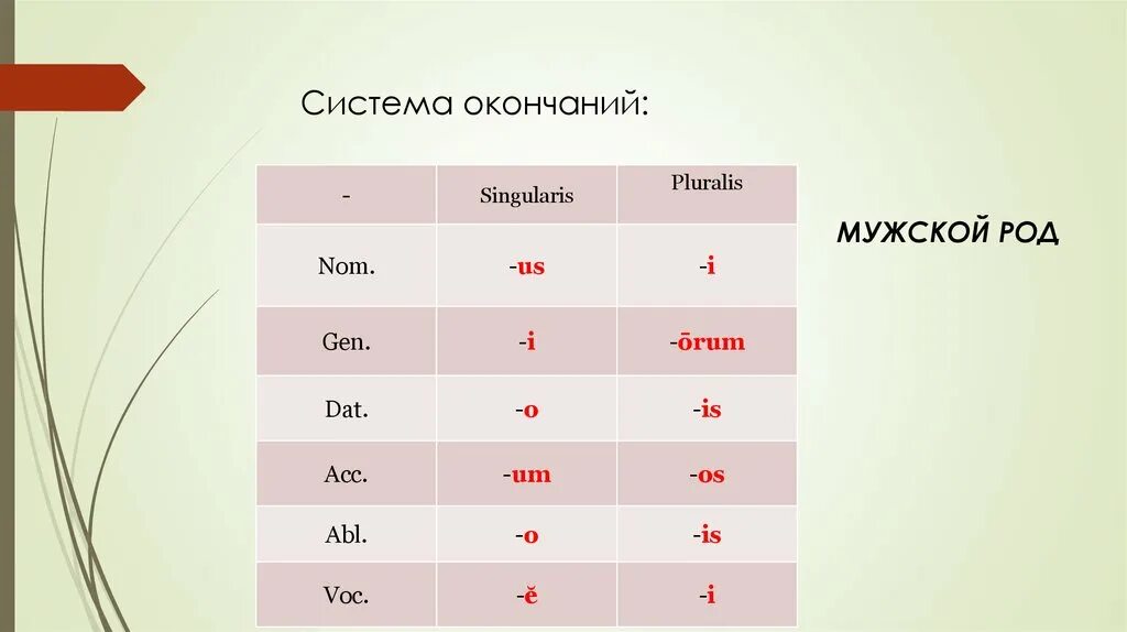 Мужские окончания. Падежные окончания 2 склонения латынь. Существительные 2 склонения латынь. Падежные окончания 2 склонения латинский. Существительные мужского рода 2 склонения латинский язык.