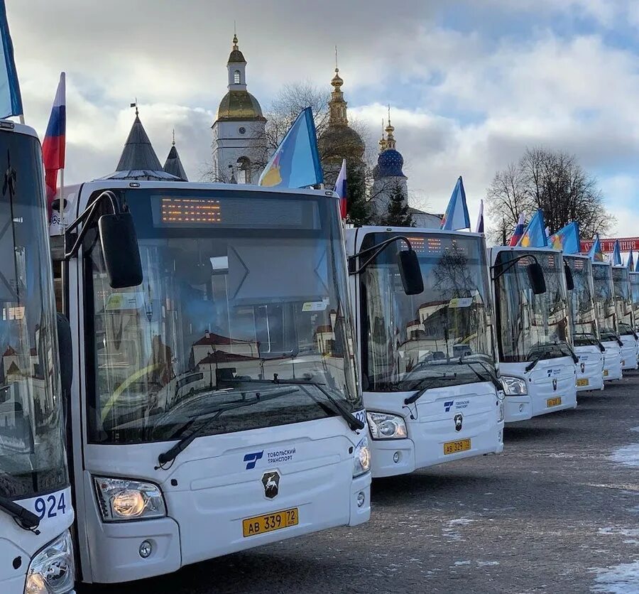 Автобусы тобольского патп. Автобусы тобольского патп. Автобусы тобольского патп. Тобольское патп лиаз. Автобусы тобольского патп.