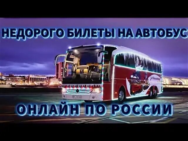 Unitiki автобус. Unitiki автобус как выглядит. ООО Юнитики автобус фото. Юнитики купить билет