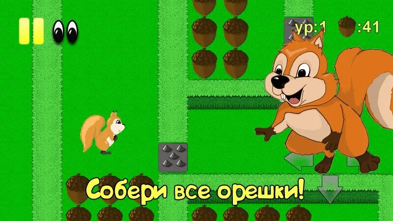 Игра белка собирает орехи. Игра белка собирает орехи. Игра бельчонок. Игра про белку и орехи. Игра про прыгающую белку.
