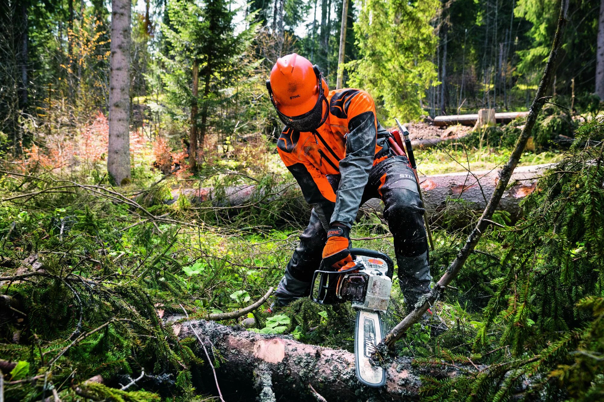 Бензопила штиль 462. Stihl MS 462. Бензопила Stihl MS 462. Бензопила Stihl MS 462 20. Бензопила Stihl MS 462 (45см 3/8 1,6 66).