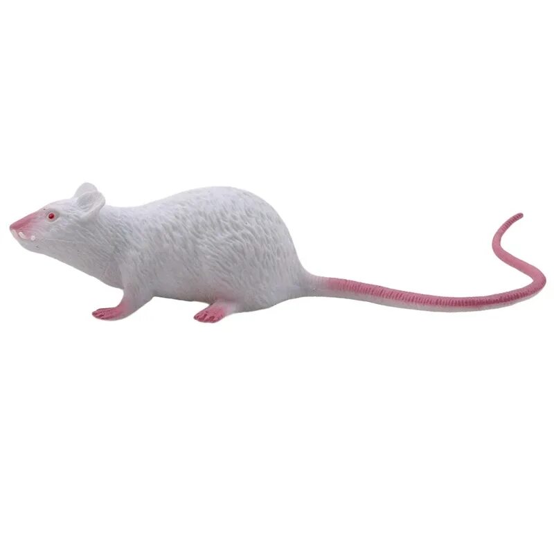Искусственные мыши. Мышь игрушка реалистичная. Фигурка мышь реалистичная. Белая мышь реалистичная. Декоративная мышь игрушка реалистичная.
