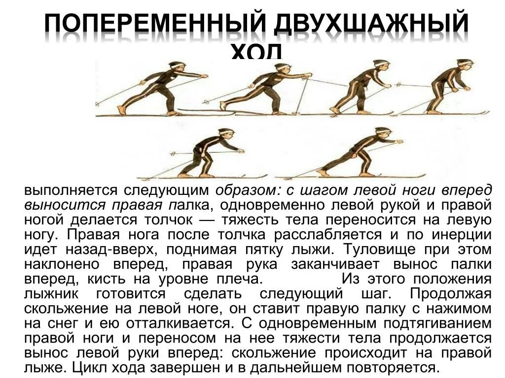 Техника выполнения лыж. Доклад по физкультуре на тему двухшажный ход. Попеременный двухшажный ход и одновременный двухшажный ход. Сообщение попеременный двухшажный ход на лыжах. Доклад по физкультуре на тему попеременный двухшажный ход.