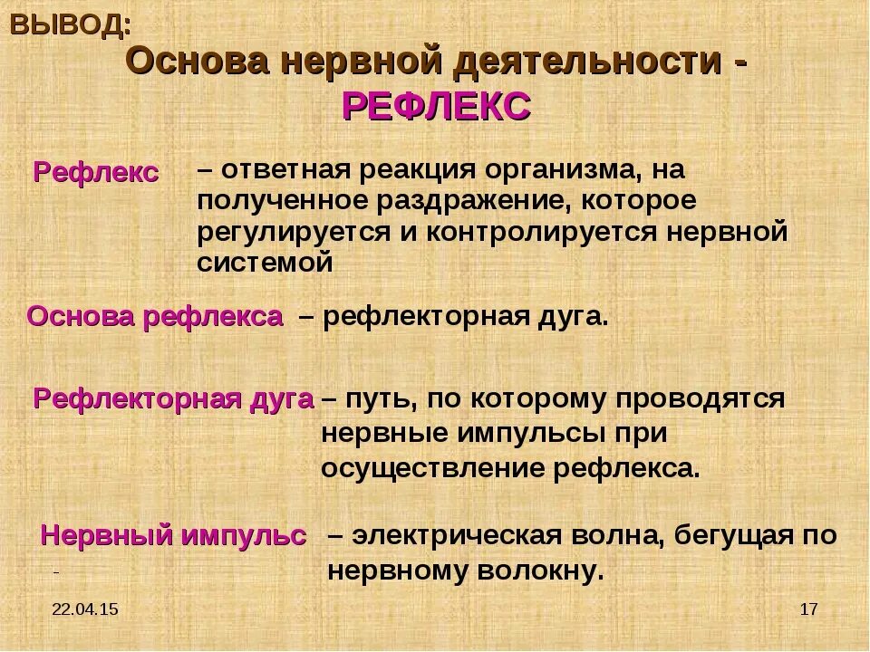 Общие рефлексы. Основа нервной деятельности. Рефлексы 8 класс. Рефлекс нервной деятельности. Рефлекс это в биологии 8 класс.