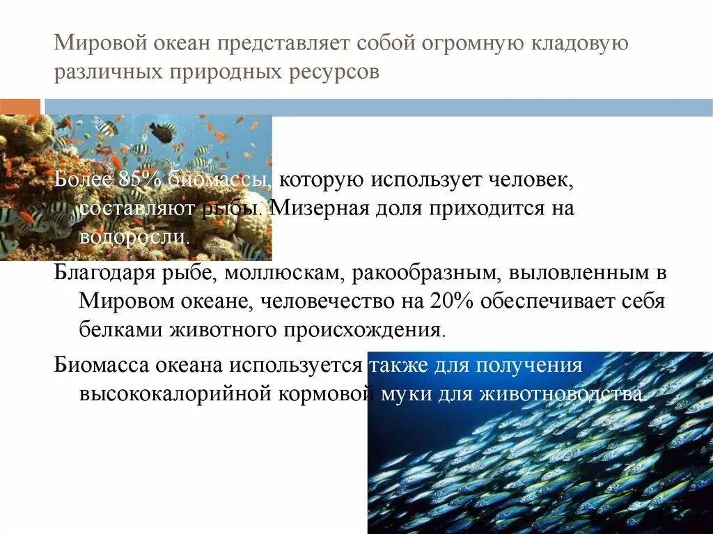 Океан роль в жизни человека. Роль мирового океана. Функции мирового океана. Биомасса мирового океана. Что представляет мировой океан.