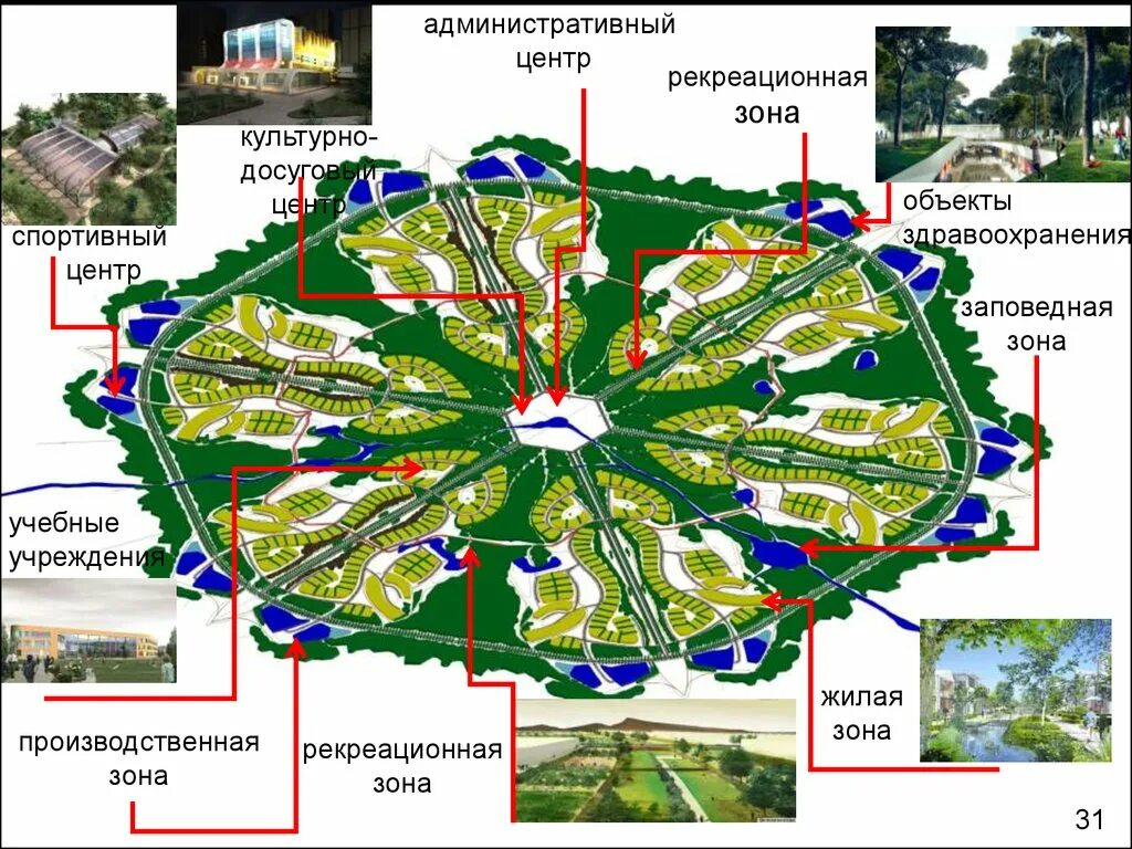 Культурно-рекреационная зона. Административные центры. Рекреационные зоны промышленного объекта. Рекреационно-образовательная зона. Зеленые зоны московской области