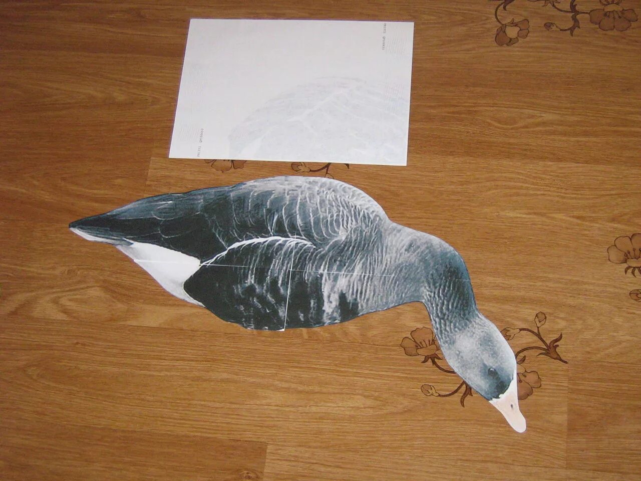 чучело гуся таксидермия. поделка гусь. чучело гуся таксидермия. поделка гусь из бумаги. гусиные профиля.