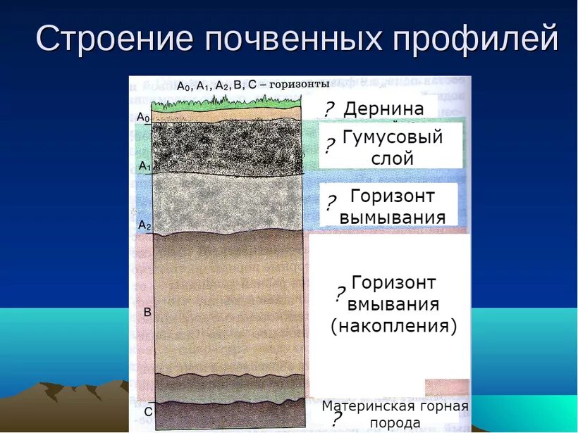 К материнской породе примыкает горизонт. Почвенный профиль 3 слоя. Почвенный профиль Горизонт вымывания. Строение почвенного профиля 6 кл. Строение почвы.