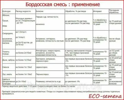 При какой температуре обрабатывать бордосской жидкостью осенью. При какой температуре обрабатывать бордосской жидкостью осенью