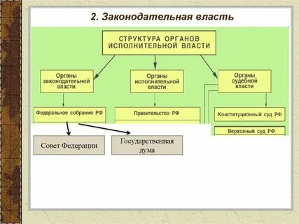 Исполнительная ветвь власти определяет