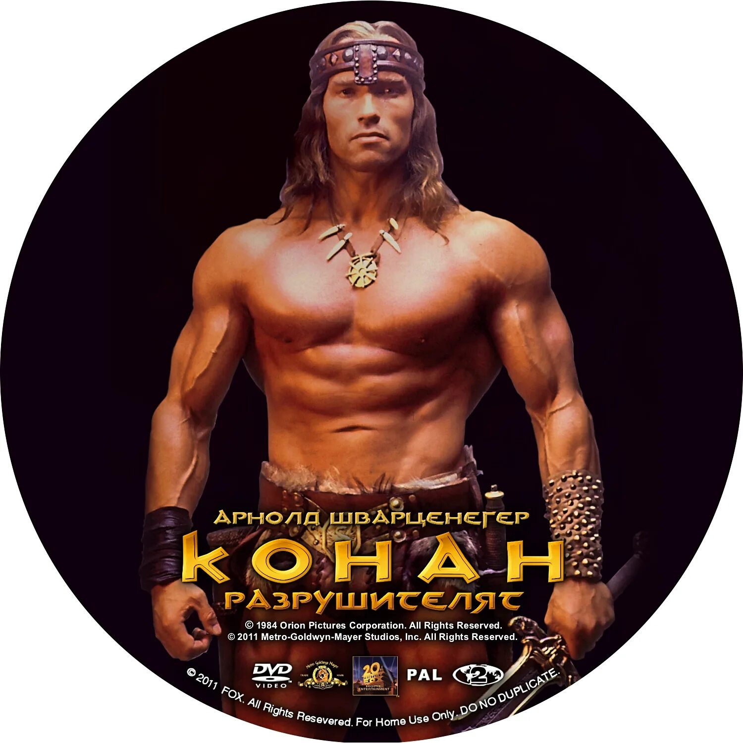 История конан. Конан разрушитель 1984 Постер. Conan the Destroyer DVD Cover. Надпись Конан. Конан Возраст.