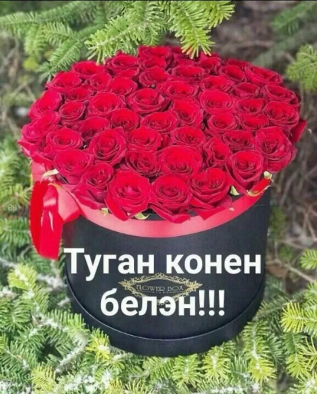 Туган Кен. Туган конен цветы. Открытка на день рождение цветы татарские. С днём рождения Файруза апа.