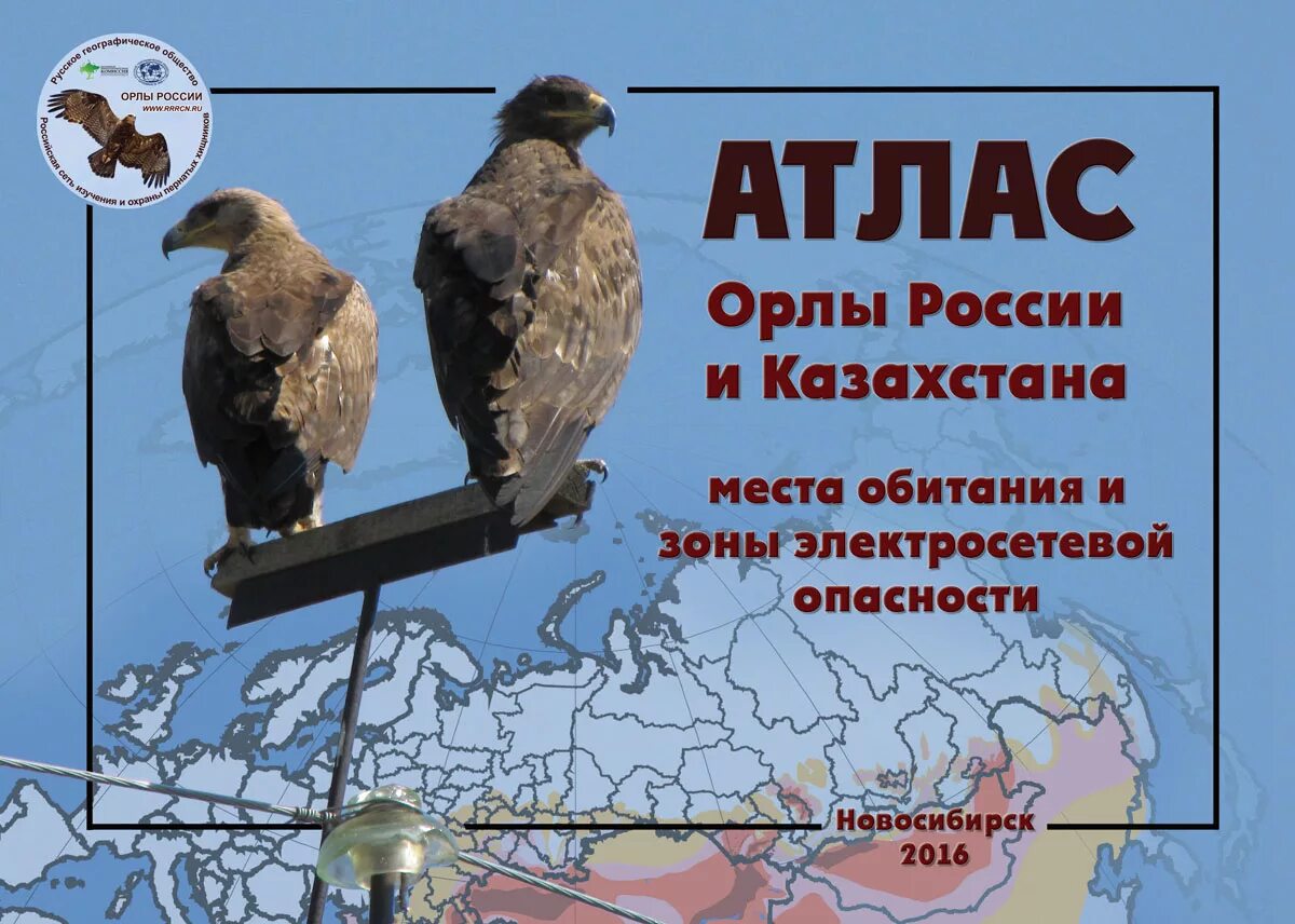 Ареал обитания степного орла. Ареал обитания змееяда. Ареал обитания орлов в россии. Орлы ареал. Ареал обитания орлов.