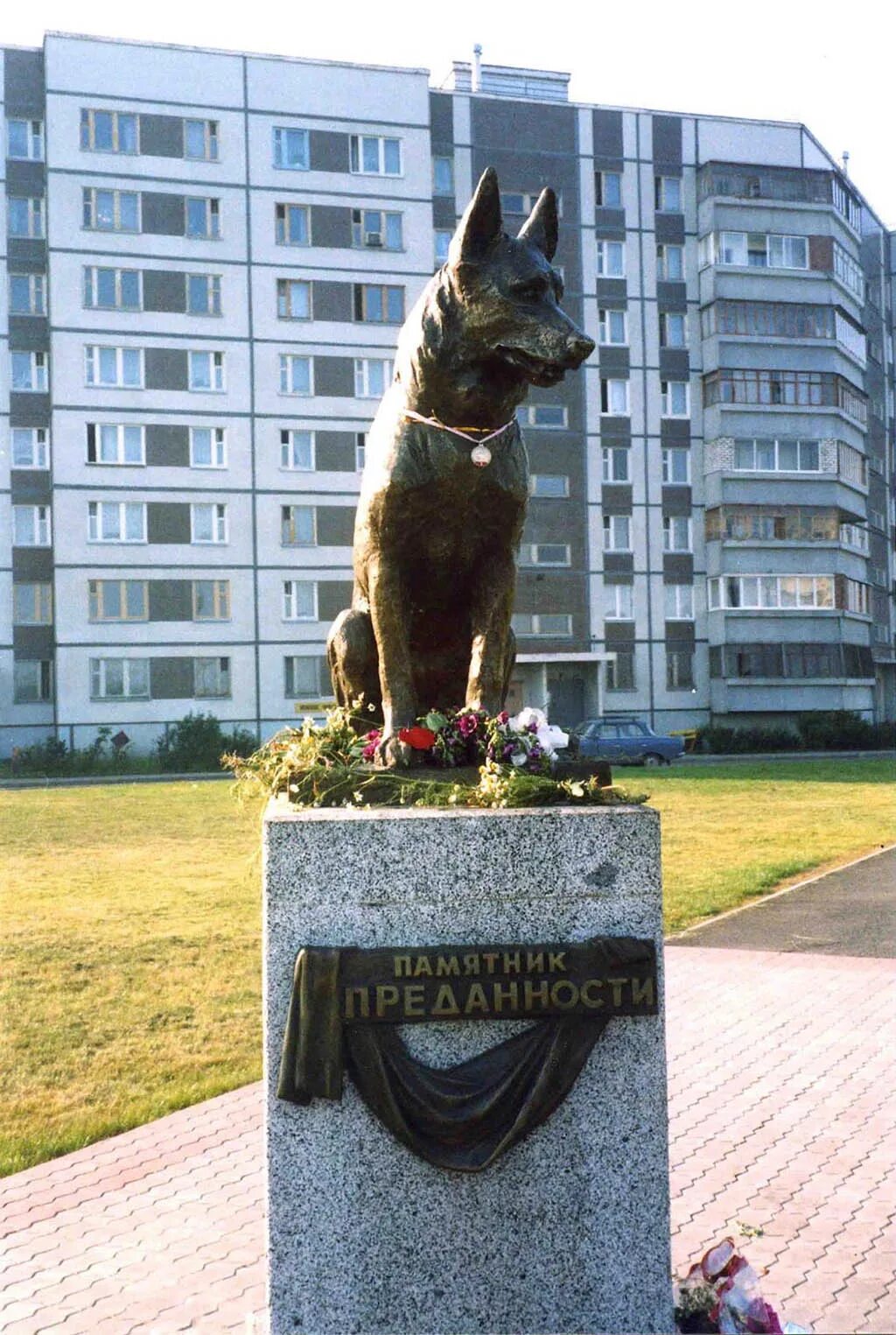 Памятник преданности собаке в Тольятти. Памятник верному псу Тольятти. Памятник верность псу в Тольятти.