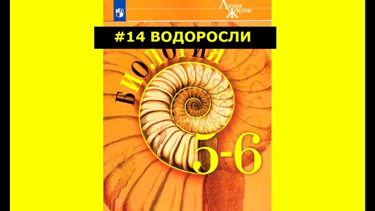 П 14 биология. Биология 19 параграф. Биология 5 класс параграф 15 лишайников. Биология 6 класс параграф 34. Биология 14 параграф.