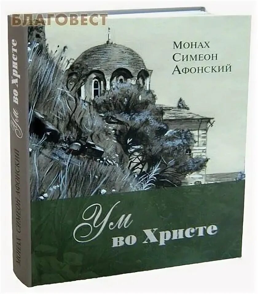Монах симеон бескровный. Монах симеон книги. Ум во христе монах симеон афонский. Симеон афонский книги. Книга птицы небесные симеон афонский.