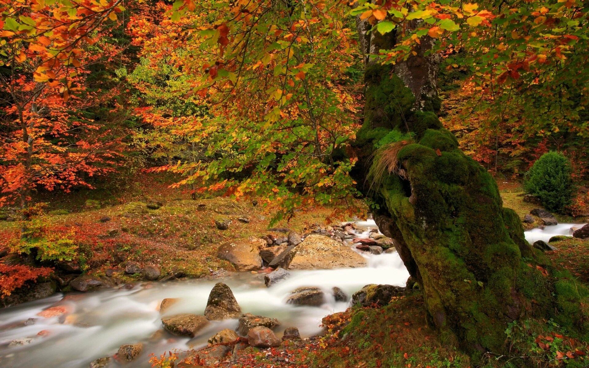 Natural fall. Природа осень. Красивая осень. Осень фото красивые. Осень река.