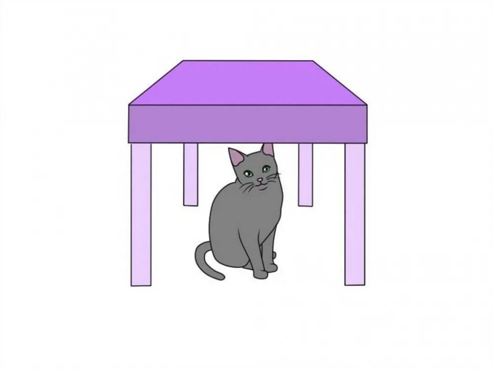 The cat is the chair. Предлоги in on under. Prepositions of place карточки. Предлоги Flashcards. Предлог under.