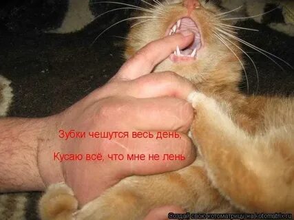 Зуб будто чешется