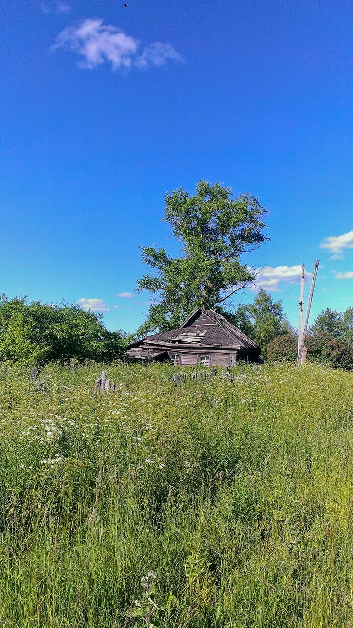 Погода в воронино