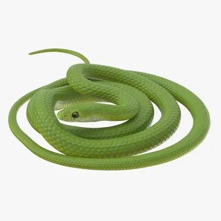 Snake plate