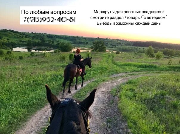 Конный клуб есаул. Конный клуб есаул. Конный клуб есаул. Кск есаул. Конный клуб есаул.