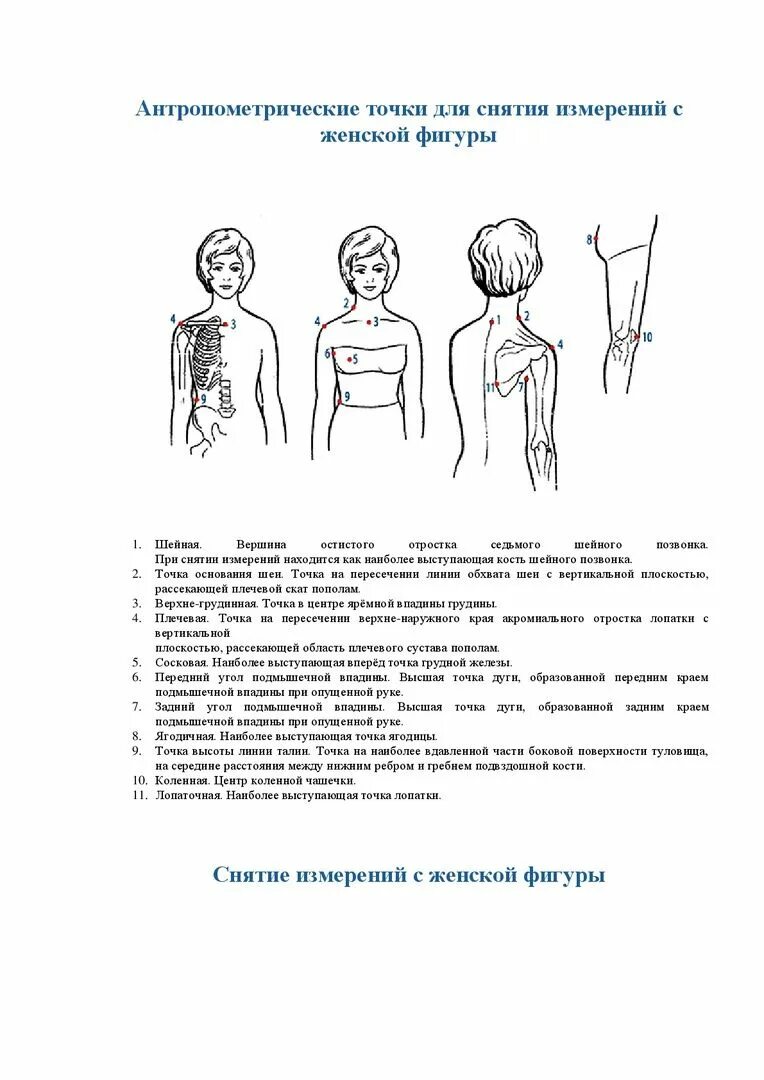 Проведение антропометрических измерений алгоритм