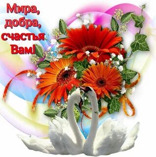 Открытки с добрым пожеланием с цветами