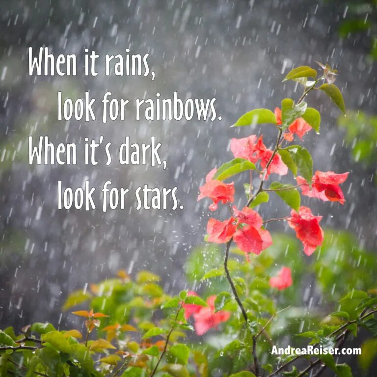 It raining when i woke up. When it rains look for rainbows when it&#039;s dark look for stars в белой овальной оправе. when it rains verriica. when it rains verriica genshin. when it rains vericca.