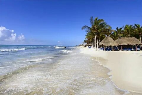 Hotel caracol отзывы